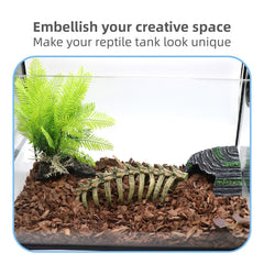 relaqcc crâne dans aquarium avec betta offre refuge discret