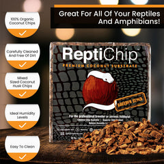 ReptiChip texture humide en détail montrant rétention d'humidité et structure