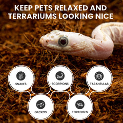 ReptiEarth gros plan sur fibres de coco montrant texture aérée bénéfique