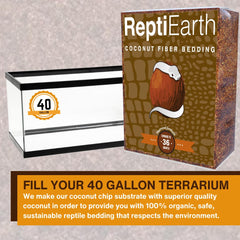ReptiEarth substrat en terrarium avec gecko facilitant creusage naturel