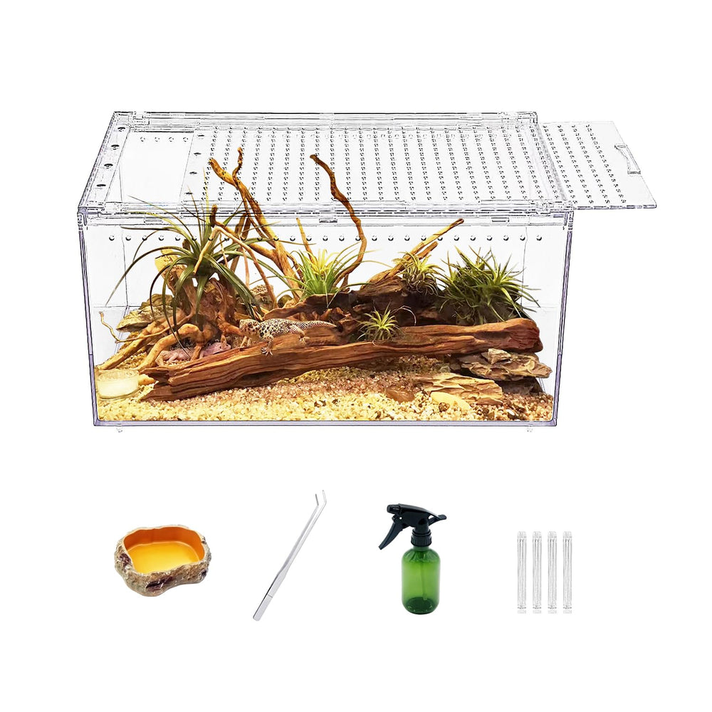 Reptile Growth face avant du terrarium, visibilité totale pour observation