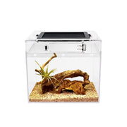 Reptile Growth vue avant du terrarium offrant visibilité et sécurité