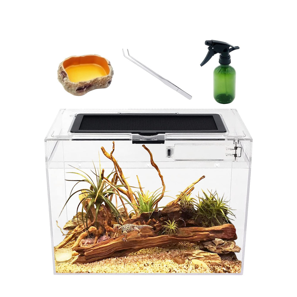Reptile Growth vue de face du terrarium montrant transparence et visibilité