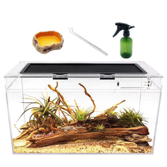 Reptile Growth terrarium vue avant montrant transparence et visibilité pour observation