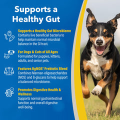 Revival Animal Health gros plan sur granules Doc Roy's montrant texture et facilité d'absorption