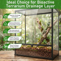 Riare billes en fausse couche dans terrarium améliorant drainage