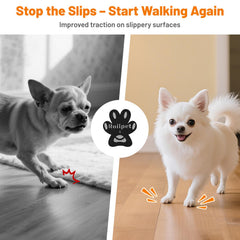 Roilpet application sur patte montrant pose simple et sûre