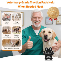 Roilpet comparaison de taille pour choisir pad adapté facilement