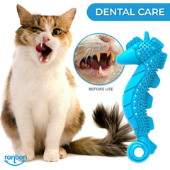 Ronton jouet en usage avec chat jouant stimulant et amusant
