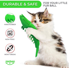 Ronton chat jouant avec le jouet stimulant jeu et hygiène