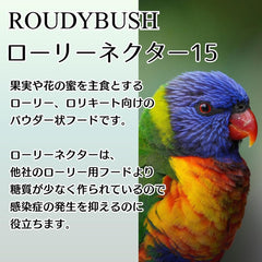 Gros plan poudre RoudyBush Lory Nectar 15 montrant texture fine, préparation simple