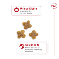 ROYAL CANIN comparaison taille montrant portion adaptée et contrôle du poids