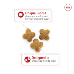 Royal Canin texture des croquettes tenue en main montrant densité et appétence