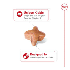 ROYAL CANIN croquettes dans une main pour évaluer la taille et la portion