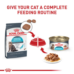 Royal Canin bol plein incitant à l'appétence et hydratation