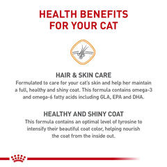 ROYAL CANIN sachet 6 lb à l'échelle pour visualiser taille et quantité pratique