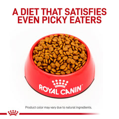 ROYAL CANIN gros plan sur la texture des croquettes pour meilleure appétence
