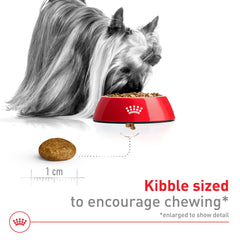 Royal Canin croquette dans une main pour taille et facilité de prise