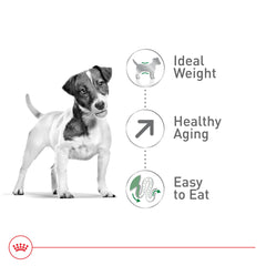 ROYAL CANIN croquette à l’échelle montrant petite taille adaptée aux mâchoires