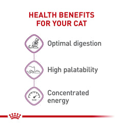 ROYAL CANIN main tenant croquette montrant la taille pratique