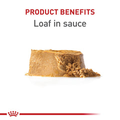 ROYAL CANIN détail de l'étiquette avec composition pour vérifier les nutriments essentiels