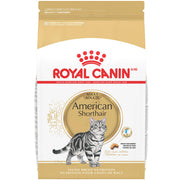 Royal Canin emballage devant American Shorthair montrant la marque et bénéfice nutritionnel