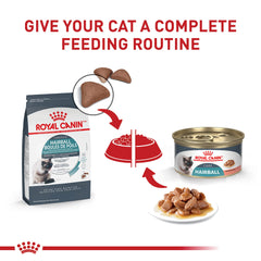 ROYAL CANIN boîte tenue en main pour évaluer la taille et faciliter le service quotidien
