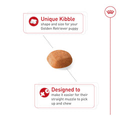 ROYAL CANIN gros plan sur croquette montrant texture pour mastication encouragée