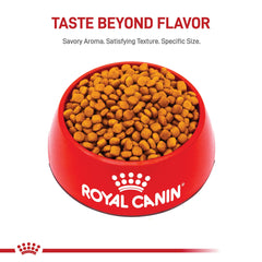 ROYAL CANIN arrière du paquet avec mode d’emploi et informations nutritionnelles utiles