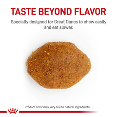 ROYAL CANIN gros plan croquette adaptée favorisant mastication et satiété