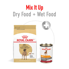 ROYAL CANIN Dogue Allemand prenant son repas matinal montrant appétence