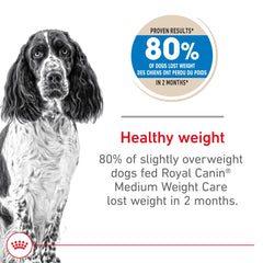 ROYAL CANIN gros plan croquettes, texture appétente et rassasiante