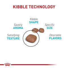 Royal Canin gros plan kibble montrant texture et appétence
