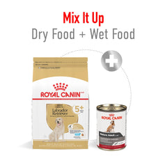 ROYAL CANIN croquette dans la main pour visualiser taille et échelle pratique