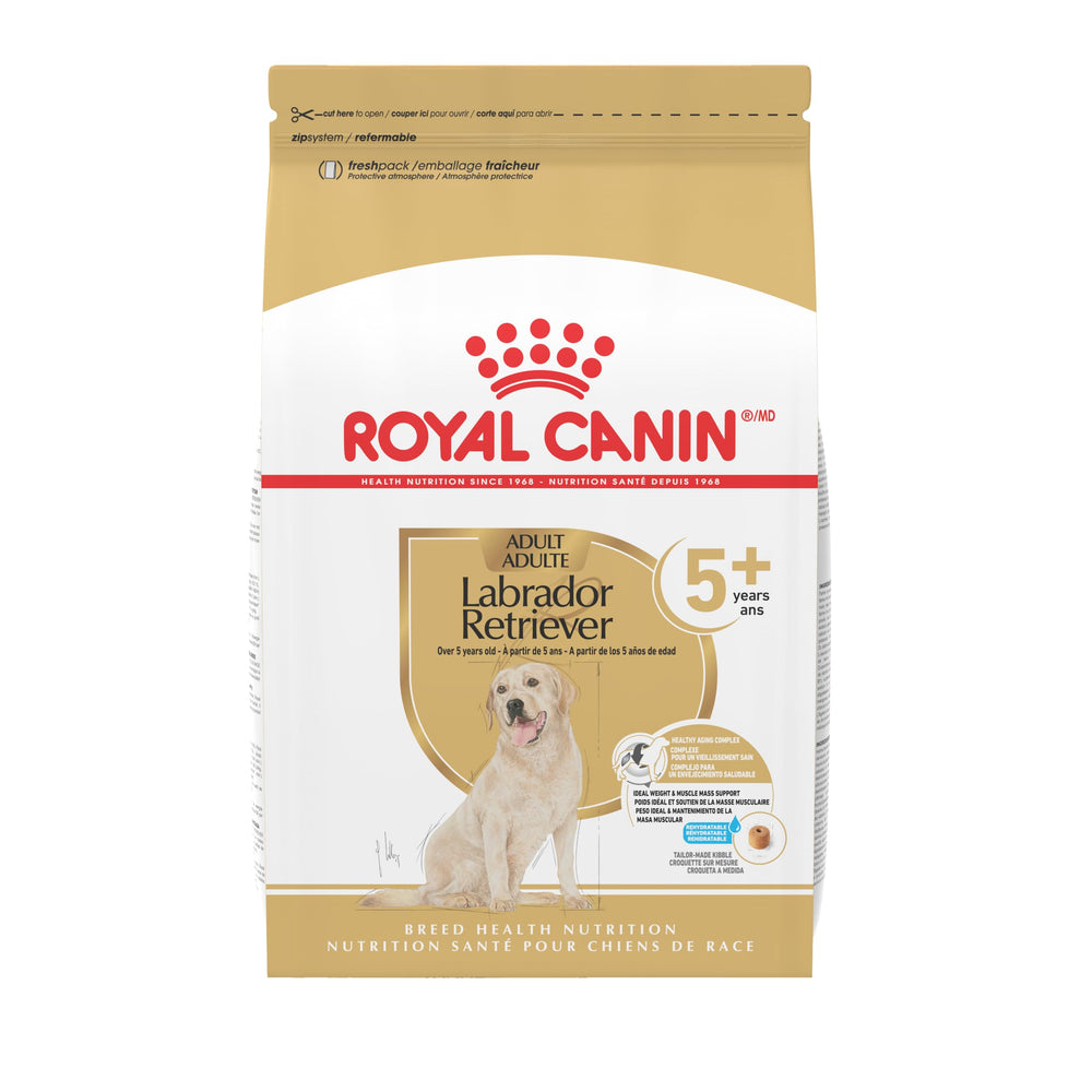 ROYAL CANIN emballage face montrant la référence Labrador 5+ et informations-clés