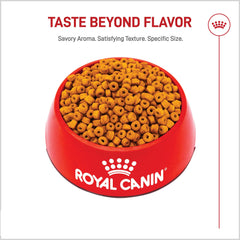 ROYAL CANIN détail de la croquette en forme donut adapté au rythme d'alimentation du Labrador