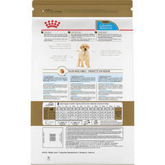 ROYAL CANIN gros plan sur croquette montrant texture et densité, facilite mastication