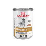 ROYAL CANIN emballage avant 24 boîtes, information produit claire