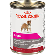 ROYAL CANIN boîte avant montrant le design et la taille utile pour repérer le produit