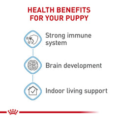 Royal Canin chiot au pelage brillant montrant bénéfice peau et fourrure
