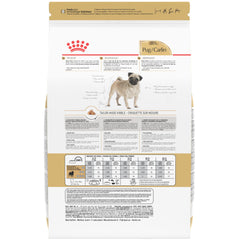 ROYAL CANIN croquette proche d’un museau de carlin démontrant adaptation morphologique