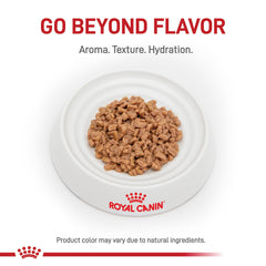 ROYAL CANIN gros plan sur la texture pour évaluer appétence et tendreté