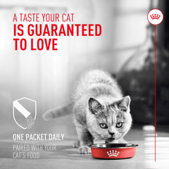 Royal Canin sachet versé sur pâtée pour administration simple