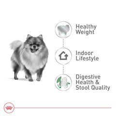 ROYAL CANIN gros plan des croquettes montrant la forme adaptée et la texture appétente