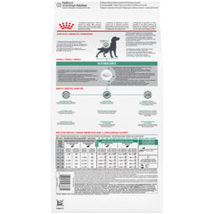 ROYAL CANIN chien mange des croquettes pour une prise alimentaire régulière