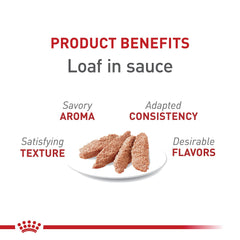 ROYAL CANIN gros plan sur la texture loaf montrant appétence et tendreté
