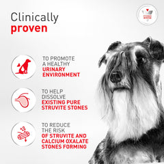 Royal Canin emballage dos avec informations nutritionnelles pour suivi vétérinaire