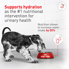 Royal Canin sac 8 kg à l'échelle pour visualiser quantité et praticité