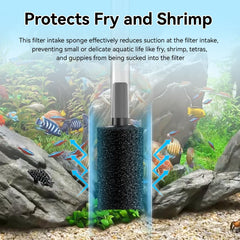 RPBKE gros plan mousse montrant texture poreuse pour filtration efficace
