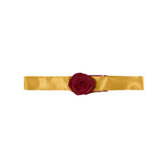 Rubies Belle costume porté par un chien en extérieur, idéal pour événements